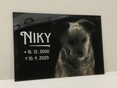 Pequeño monumento para perro