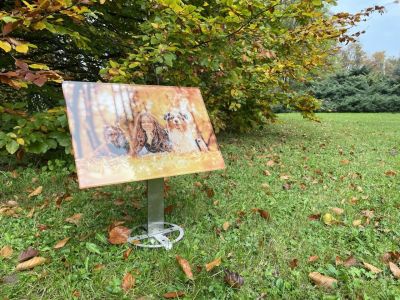 Placa de lápida de vidrio