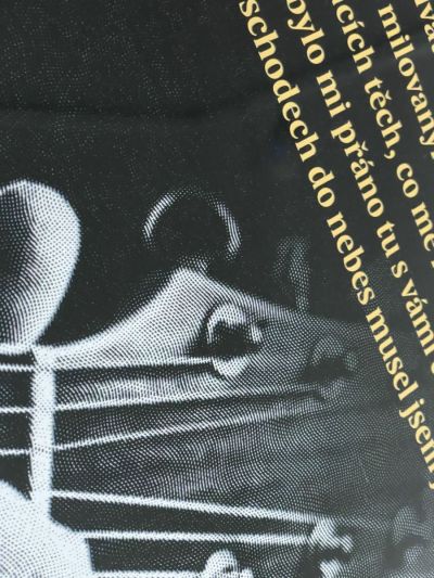 Letras doradas sobre vidrio