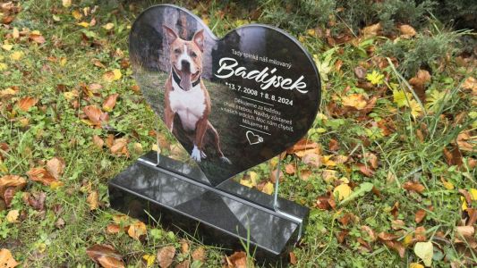 Monumentos para mascotas